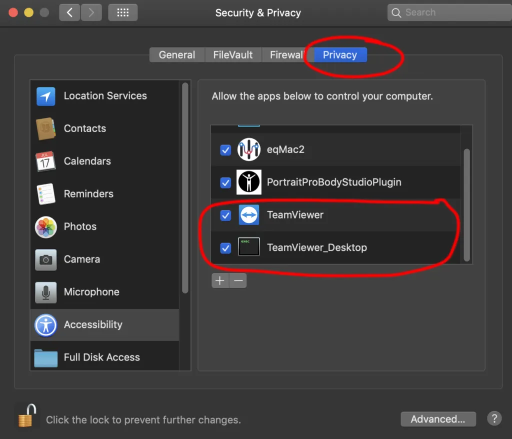 Tích chọn TeamViewer và TeamViewer Desktop trong danh sách Accessibility