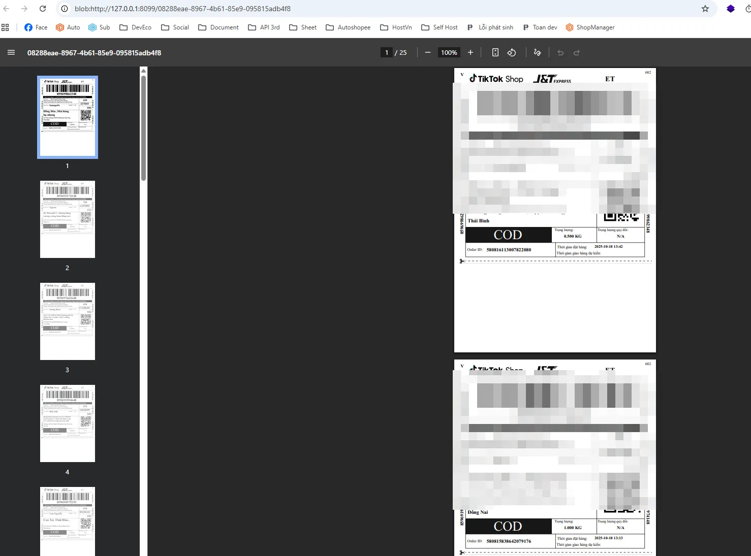 Tệp PDF phiếu giao hàng TikTok Shop xuất ra sẵn sàng để in